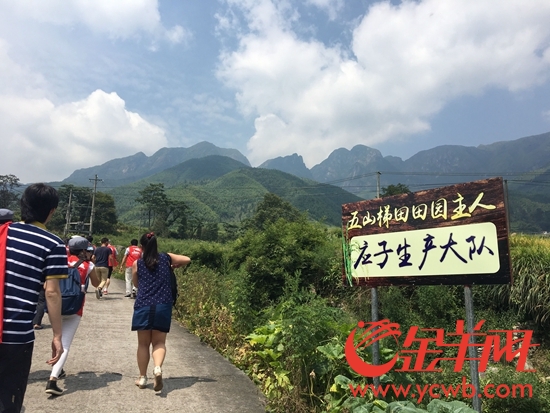 互聯網+農業+旅遊 五山鎮百畝荒地變“多彩梯田”