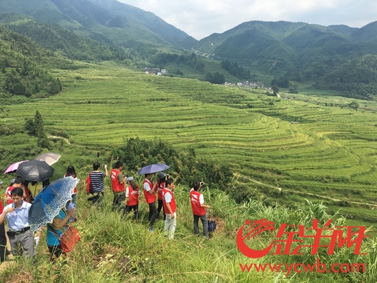 互聯網+農業+旅遊 五山鎮百畝荒地變“多彩梯田”