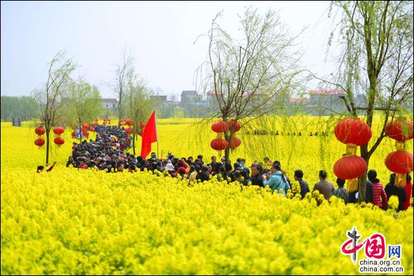 江西：長江風景小島花海綻放 引遊客紛至遝來