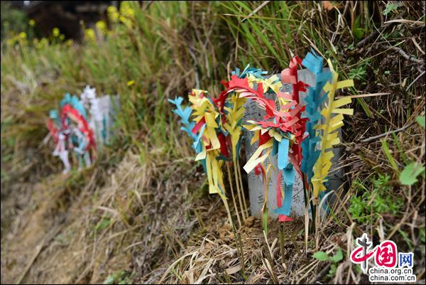 體驗苗族祭橋風俗 傳承弘揚黃平非遺(組圖)