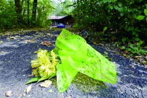 美跨世紀懸案調查獲突破 兒童遺骸27年後被找到