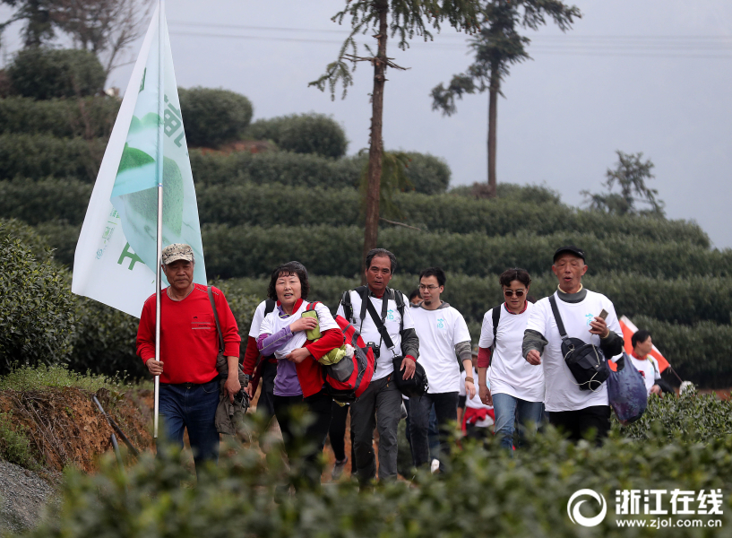 杭州：徒步萬畝茶園 暢遊美麗鄉村