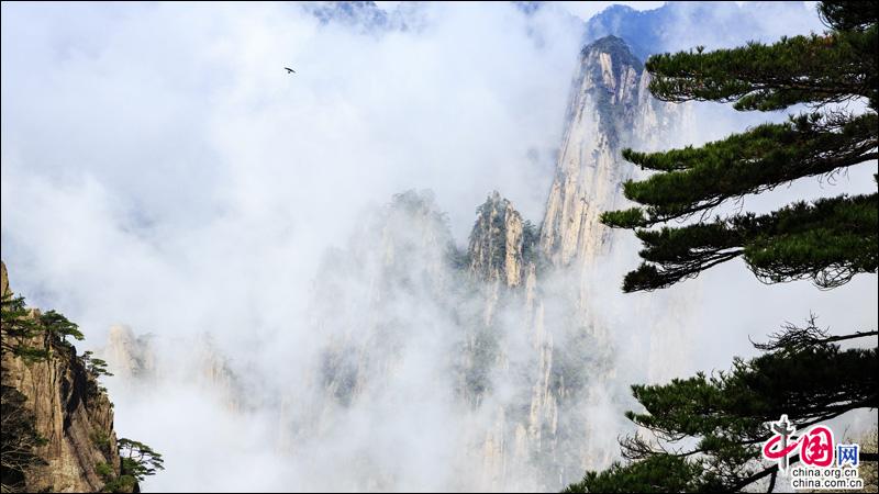 “黃山雲海”神秘深邃的意境之美(組圖)