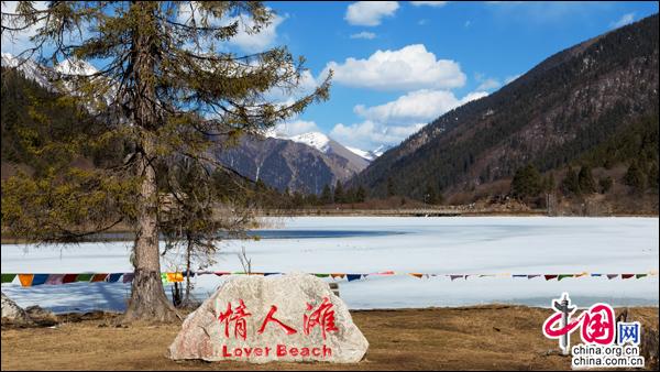 雪映桃花別樣紅，四川達古冰山初春美景漫天花舞