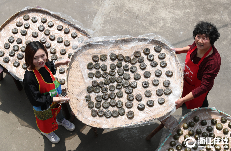 湖州德清：清明前後 芽麥園子俏