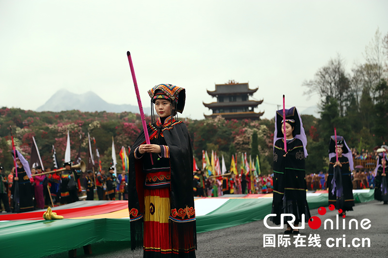 (已過審/焦點圖)貴州百里杜鵑舉行神秘的彝族“祭花神”儀式