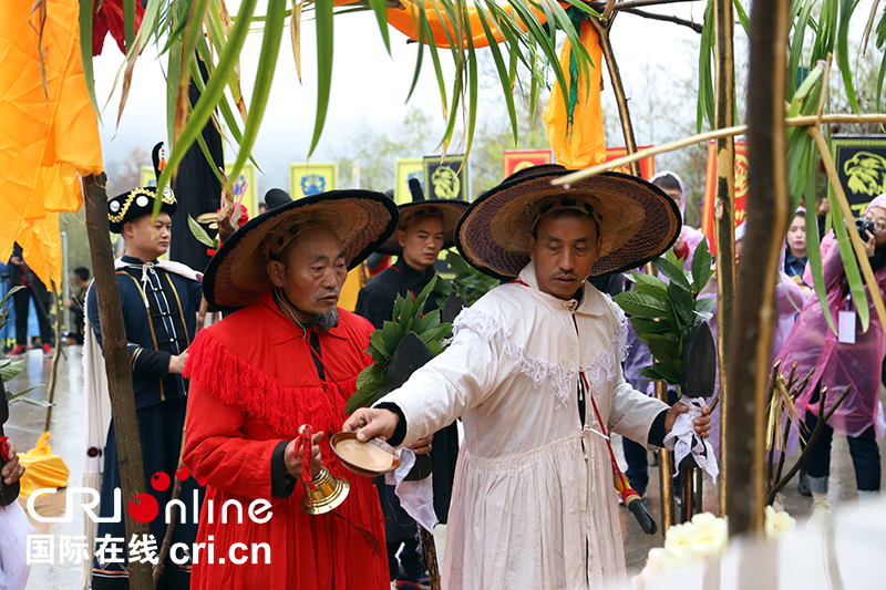 (已過審/焦點圖)貴州百里杜鵑舉行神秘的彝族“祭花神”儀式