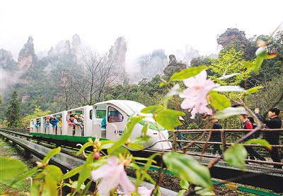 張家界山區雲霧瀰漫景如畫