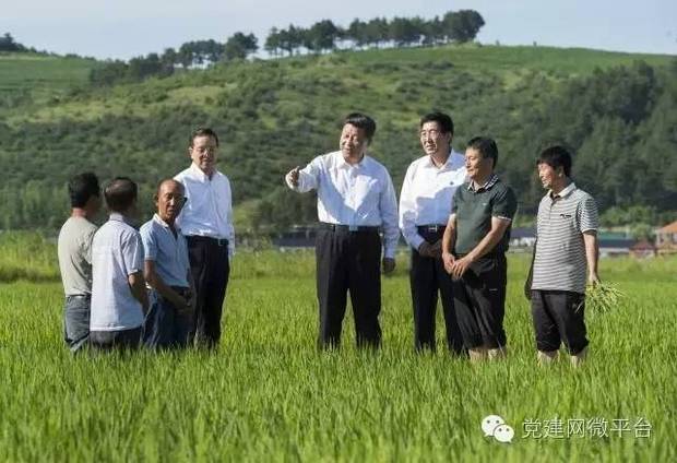 這是總書記的“手機號”嗎？