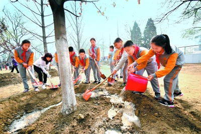 京城128萬市民多種形式播綠護綠