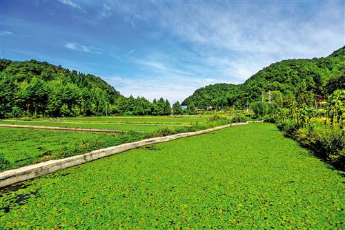 [治國理政新實踐·重慶篇]重慶石柱：改善農村人居環境建設宜居鄉村