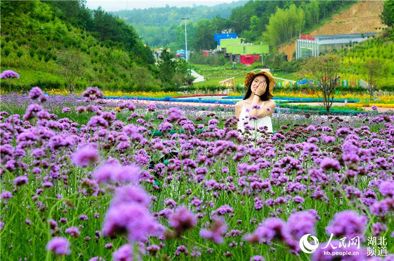 【黃岡】【大美荊楚·靈秀湖北】【焦點圖】湖北英山：四季花海景區以花為媒助力鄉村振興