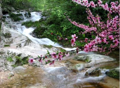 【汽車旅遊 第三張做圖片】宏泰集團挺進大別山 共築旅遊強省夢