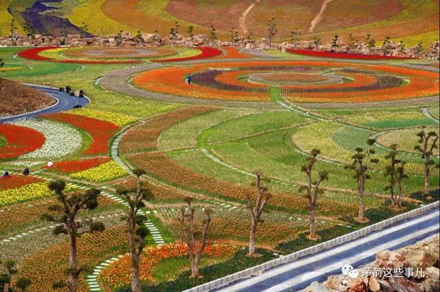 【十堰】【汽車旅遊】茅箭秦巴植物王國開園