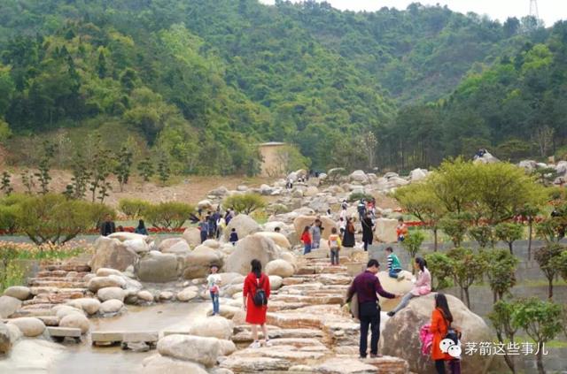 【十堰】【汽車旅遊】茅箭秦巴植物王國開園