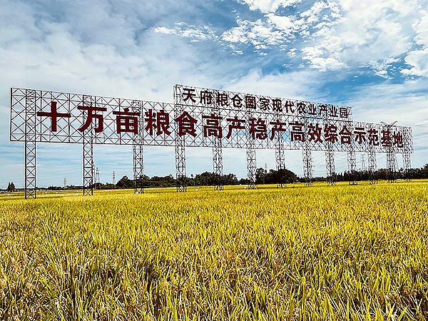 圖片默認標題_fororder_天府糧倉現代農業産業園-攝影-史華玉