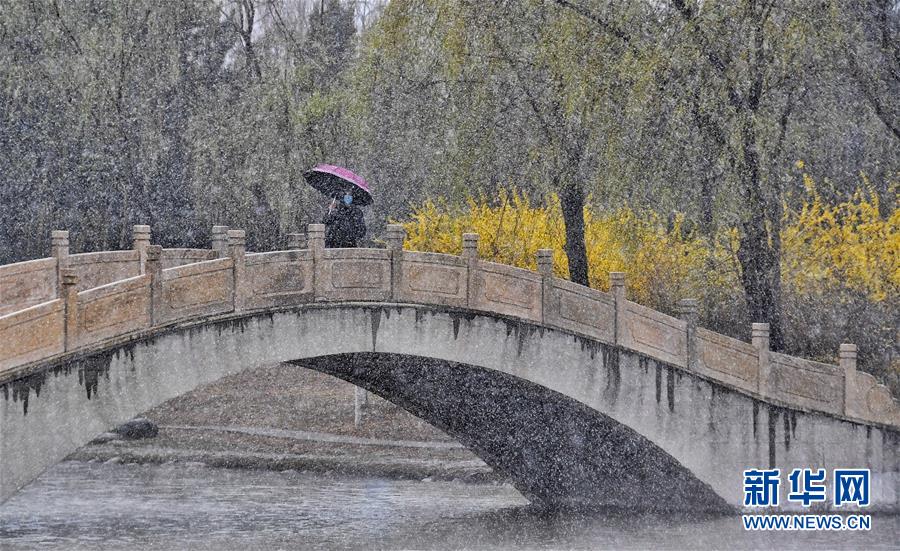 北京：燕山腳下春雪飄