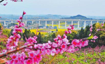 花開巴蜀 春滿天府