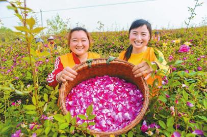 花開巴蜀 春滿天府