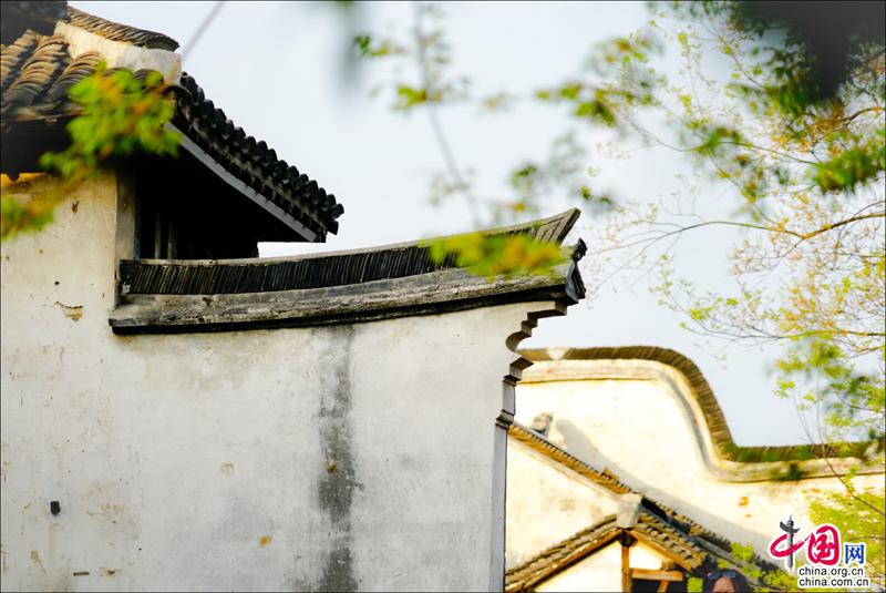 又見周莊|煙花三月晴空下 迷醉在江南春色裏