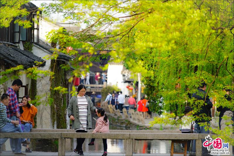 又見周莊|煙花三月晴空下 迷醉在江南春色裏