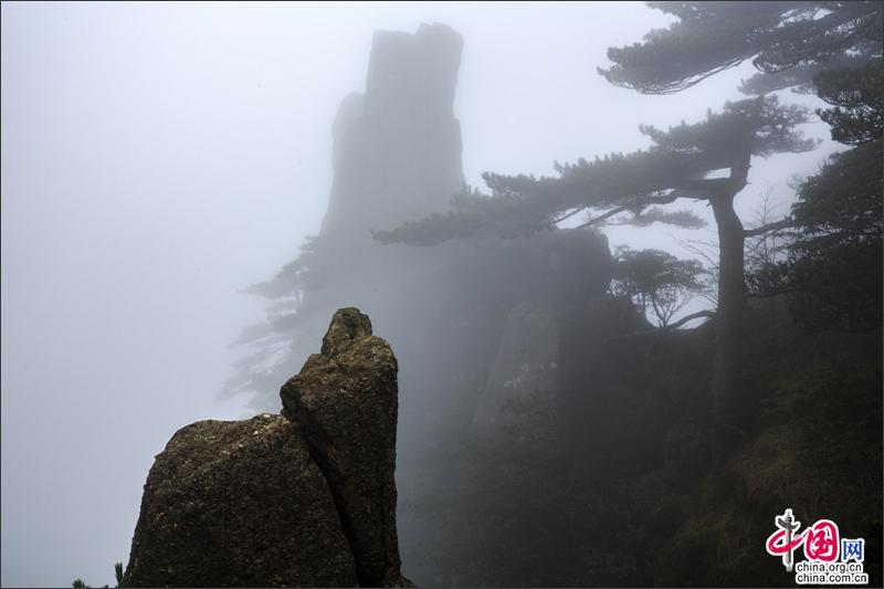 漫步黃山西海峽谷 觀石峰賞翠松身在雲中漾