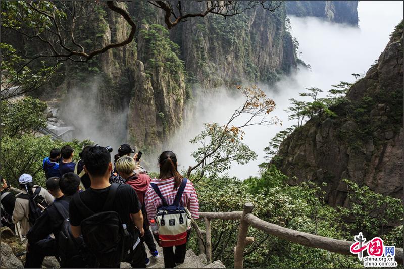 漫步黃山西海峽谷 觀石峰賞翠松身在雲中漾