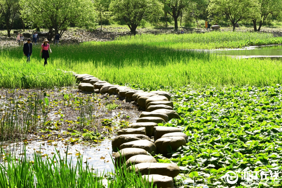 杭州：氣溫回升 恍如初夏