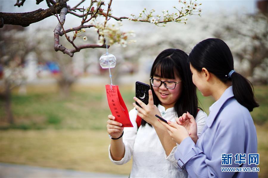 南開大學舉辦梨園春會