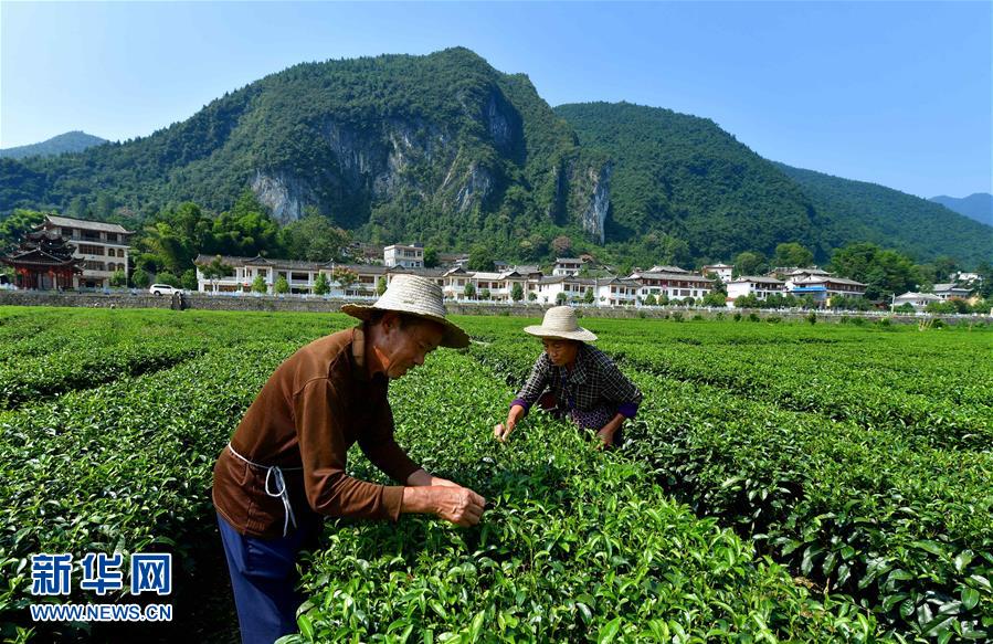 圖片默認標題