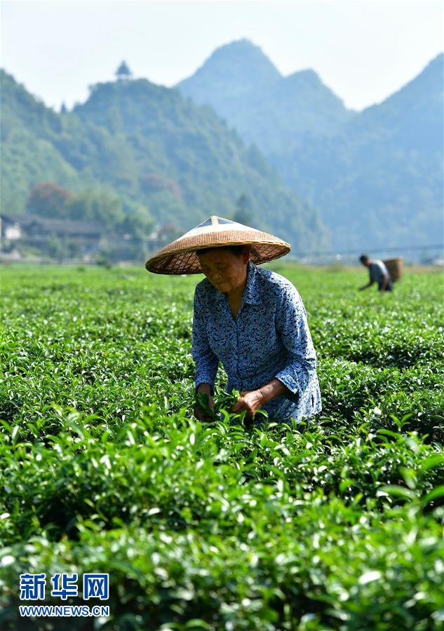 圖片默認標題