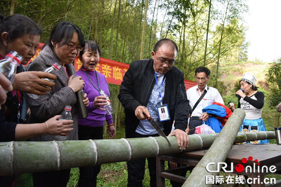 【區縣聯動】【石柱】重慶石柱：遊客進山砍竹品酒領悟土家風情【區縣聯動　列表】石柱：遊客進山砍竹品酒領悟土家風情