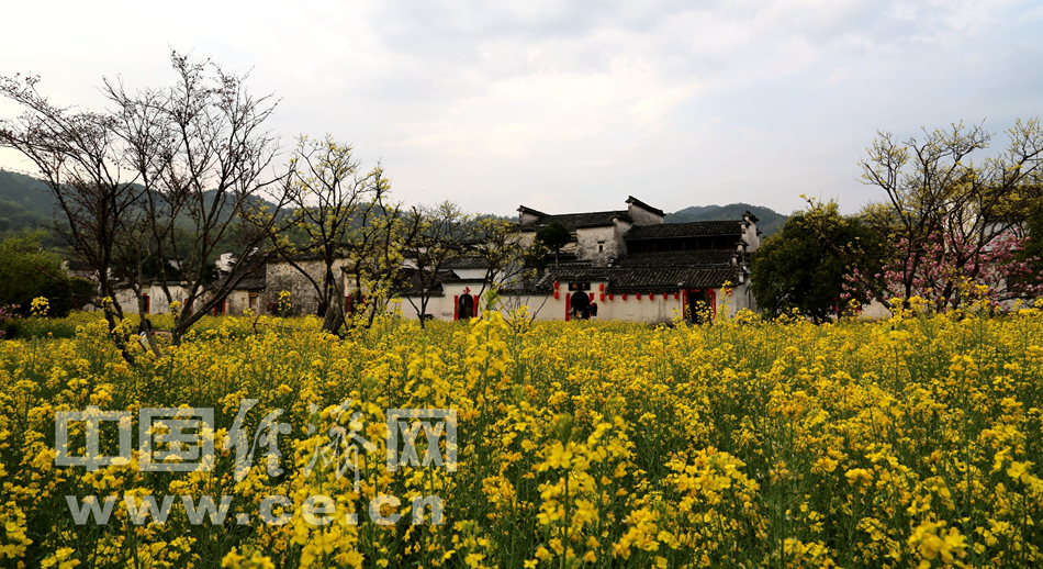 春遊西遞古鎮 賞徽派古建風采