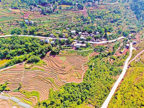 [治國理政新實踐·重慶篇]創新建管模式，鄉村路成了致富路