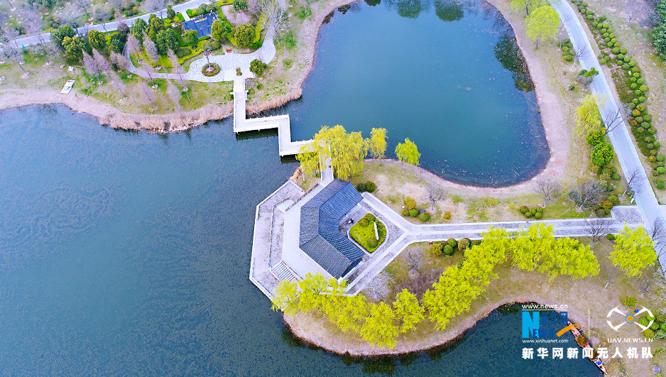 春色滿園 航拍宿遷黃河公園