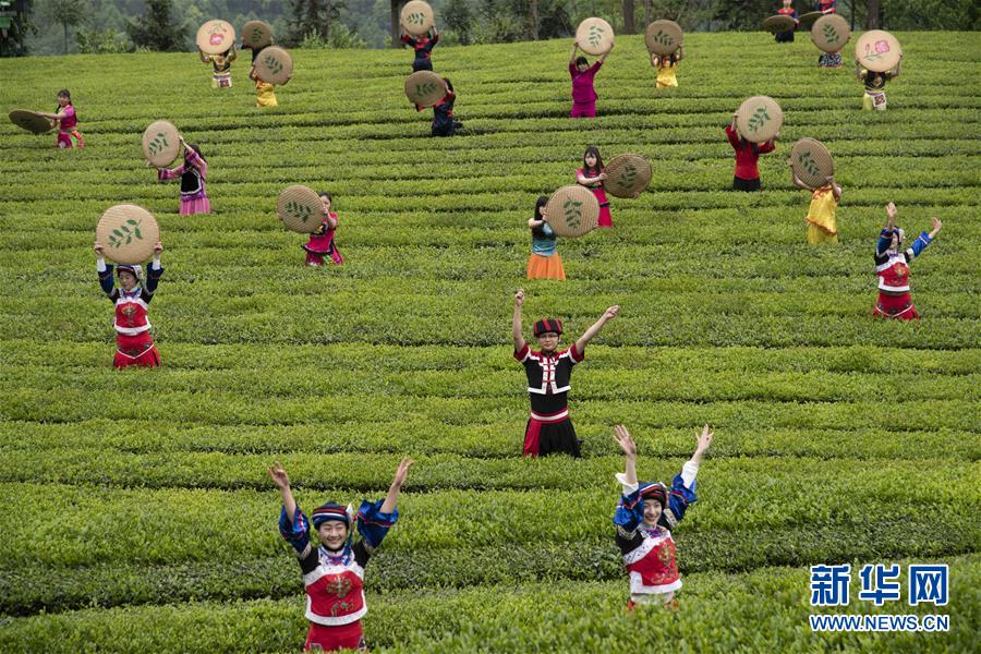 湖北五峰：茶鄉生態美