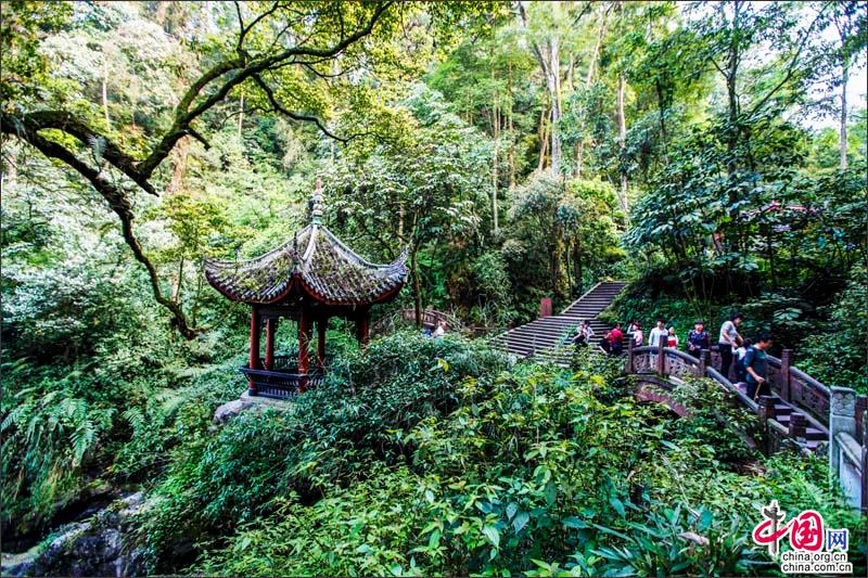 童話一樣美麗的峨眉山，綠水青山就是金山銀山