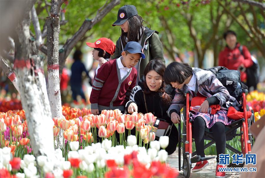 河北：觀花賞景度週末