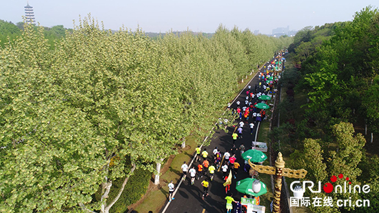 （原創 本網專稿 三吳大地無錫 移動版）宜興國際馬拉松鳴槍開跑 萬名跑友享美景