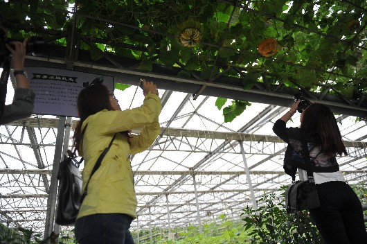 山清水秀，充滿活力，轉型發展成效顯著 ——全國網絡媒體眼中的新山西