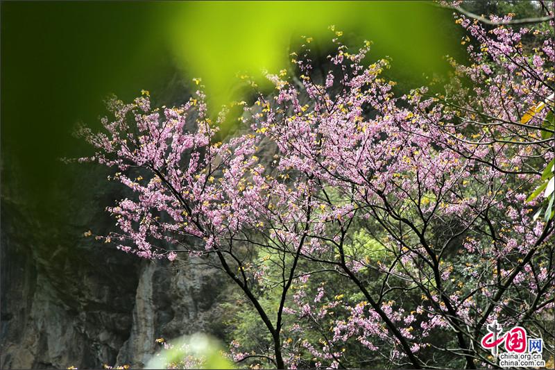 神奇秘境四川廣元水磨溝  旖旎風光盡藏秦巴