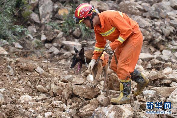 遂昌山體滑坡8人亡19人失聯 搜救進入黃金72小時