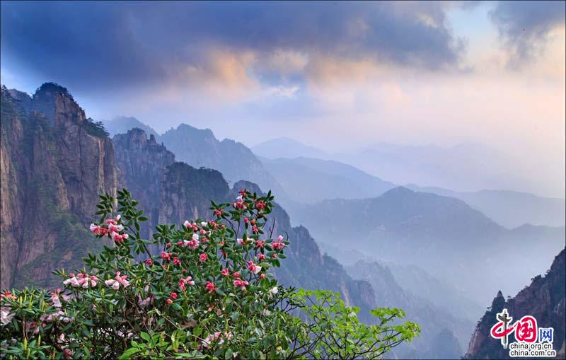 黃山，最美人間四月天 春和景明正當時(圖)