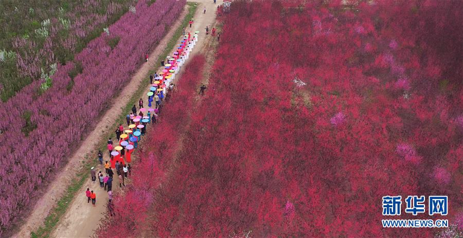 山東：觀花賞景度週末