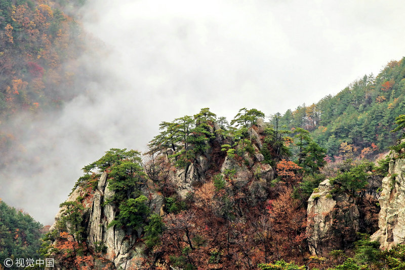 四川光霧山-諾水河、湖北黃岡大別山被列入世界地質公園