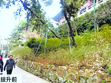 【汽車旅遊】黃鶴樓公園精心“美容”迎軍運會