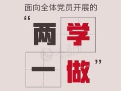 【“兩學一做“徵文】一名黨員一面旗