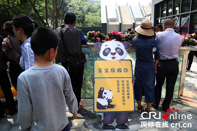 貴陽市黔靈山公園大熊貓館今起對公眾開放