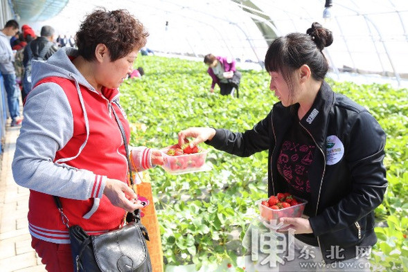 “我在龍江有畝田”首場體驗之旅實現“開門紅”