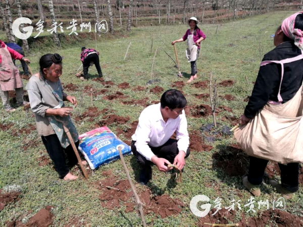 （人物、社會）胡榮平：生命不止，奮鬥不息 願把一生獻給畜牧事業